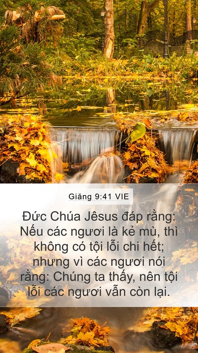 Giăng 9:41 VIE Bible Verse Image