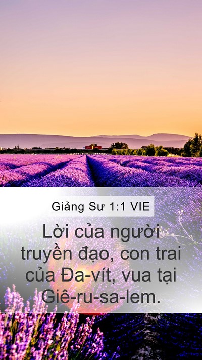 Giảng Sư 1:1 VIE Mobile Phone Wallpaper - Lời của người truyền đạo, con trai - Mobile Bible Verse Wallpaper