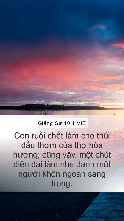 Giảng Sư 10:1 VIE Bible Verse Image