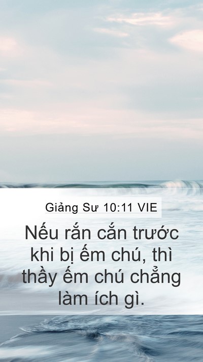 Giảng Sư 10:11 VIE Bible Verse Image