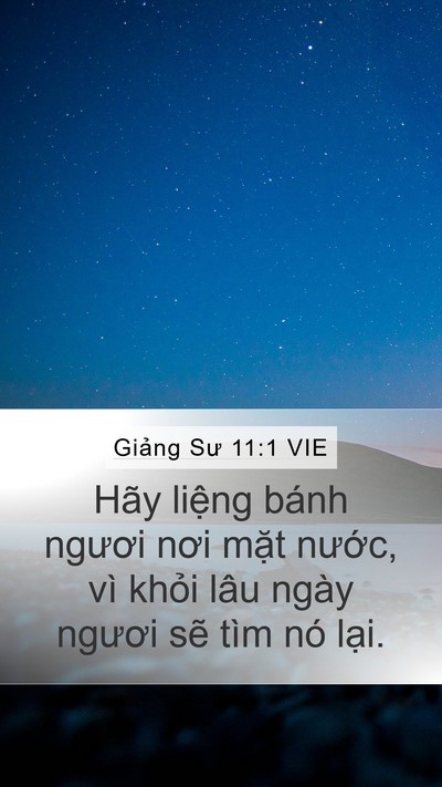 Giảng Sư 11:1 VIE Bible Verse Image