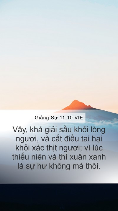 Giảng Sư 11:10 VIE Bible Verse Image