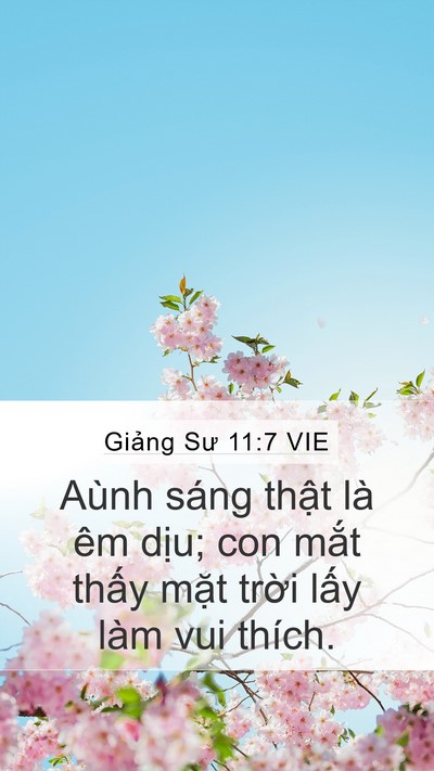 Giảng Sư 11:7 VIE Bible Verse Image