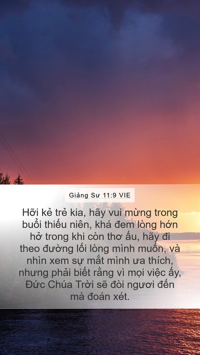 Giảng Sư 11:9 VIE Mobile Phone Wallpaper - Hỡi kẻ trẻ kia, hãy vui mừng trong - Mobile Bible Verse Wallpaper