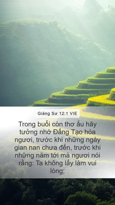 Giảng Sư 12:1 VIE Mobile Phone Wallpaper - Trong buổi còn thơ ấu hãy tưởng nhớ - Mobile Bible Verse Wallpaper