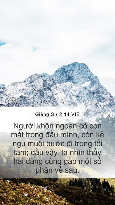 Giảng Sư 2:14 VIE Mobile Phone Wallpaper - Người khôn ngoan có con mắt trong đầu - Mobile Bible Verse Wallpaper