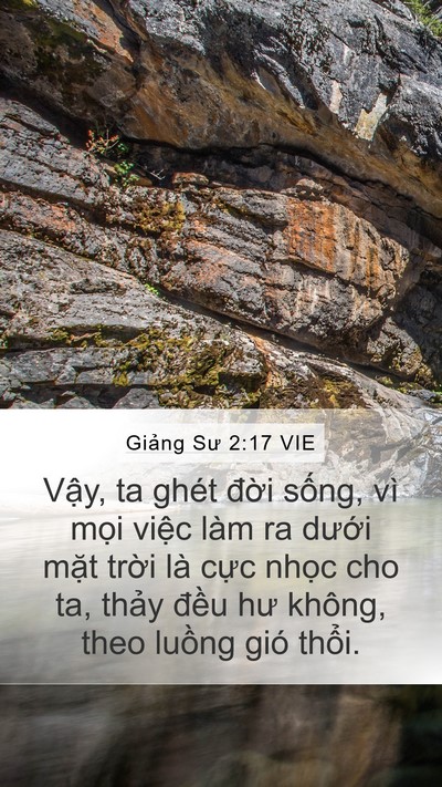 Giảng Sư 2:17 VIE Bible Verse Image