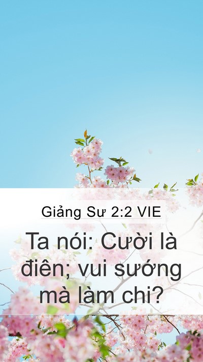 Giảng Sư 2:2 VIE Bible Verse Image