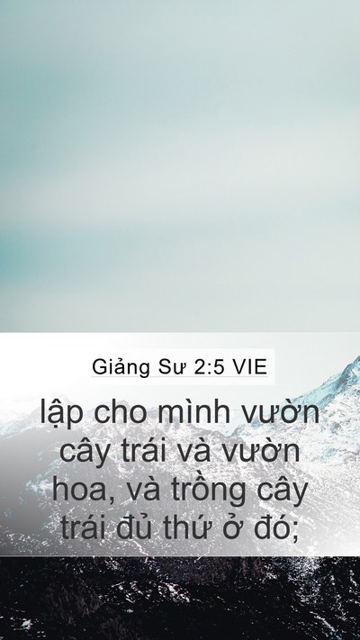 Giảng Sư 2:5 VIE Mobile Phone Wallpaper - lập cho mình vườn cây trái và vườn - Mobile Bible Verse Wallpaper