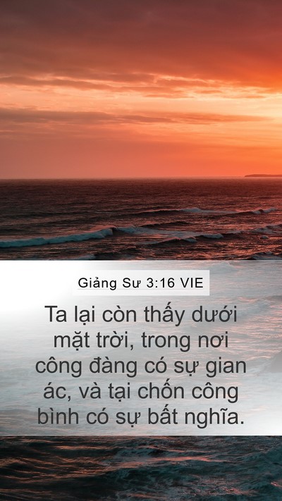 Giảng Sư 3:16 VIE Bible Verse Image