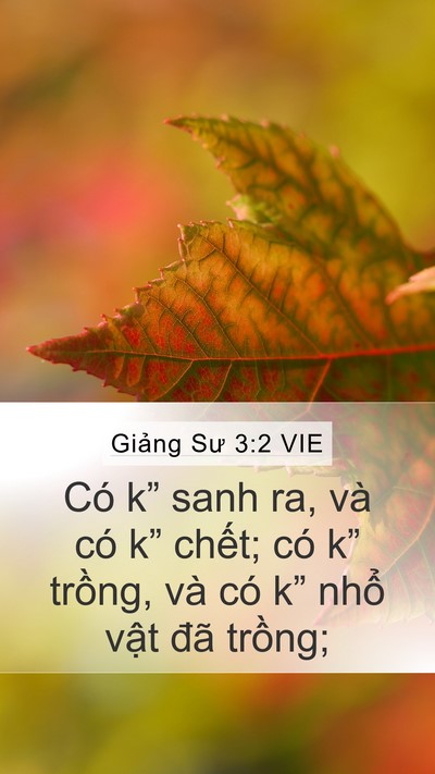 Giảng Sư 3:2 VIE Bible Verse Image