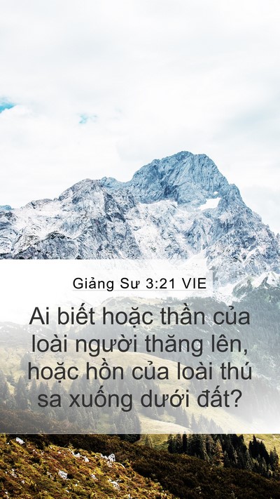 Giảng Sư 3:21 VIE Bible Verse Image