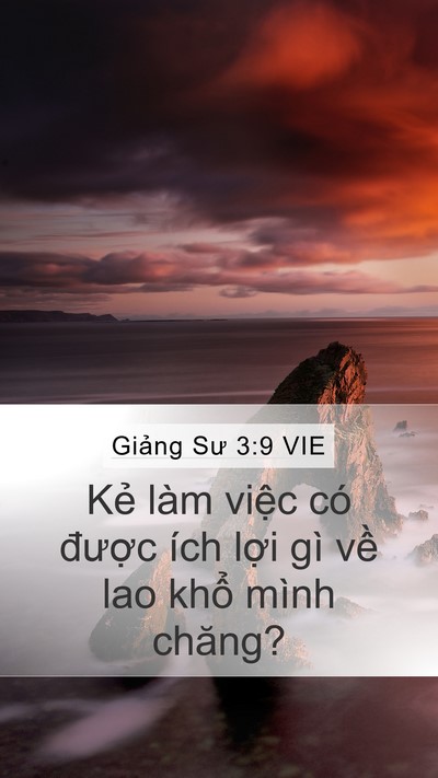 Giảng Sư 3:9 VIE Bible Verse Image