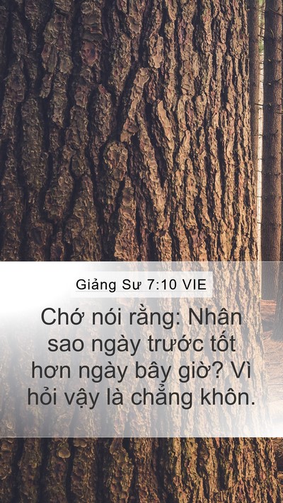 Giảng Sư 7:10 VIE Mobile Phone Wallpaper - Chớ nói rằng: Nhân sao ngày trước tốt - Mobile Bible Verse Wallpaper