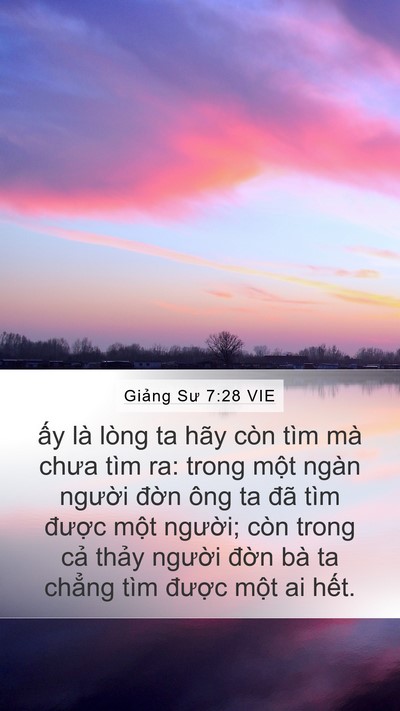 Giảng Sư 7:28 VIE Bible Verse Image