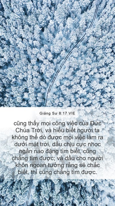 Giảng Sư 8:17 VIE Bible Verse Image