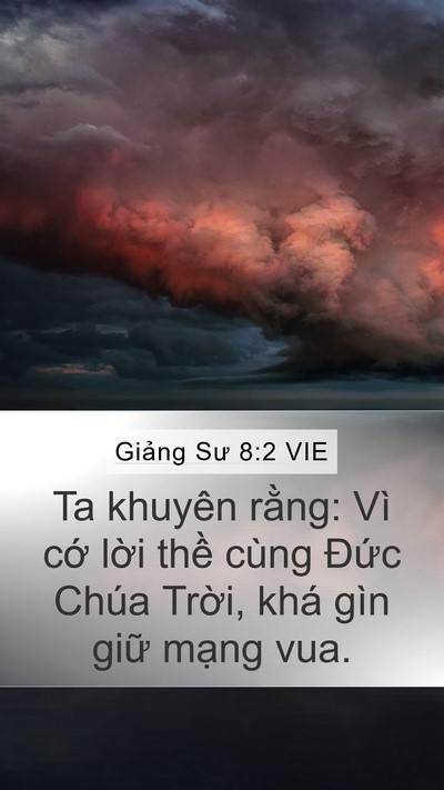 Giảng Sư 8:2 VIE Mobile Phone Wallpaper - Ta khuyên rằng: Vì cớ lời thề cùng - Mobile Bible Verse Wallpaper