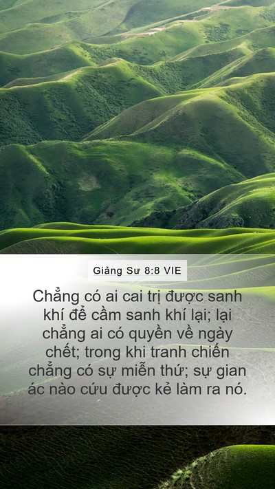 Giảng Sư 8:8 VIE Bible Verse Image