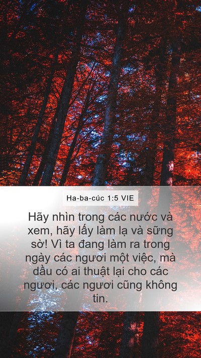 Ha-ba-cúc 1:5 VIE Bible Verse Image