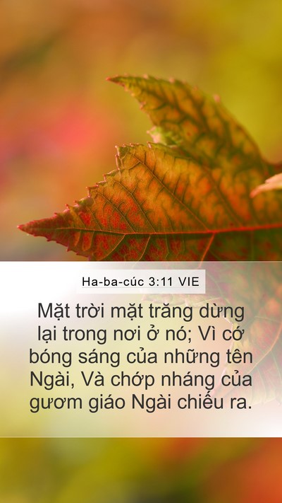 Ha-ba-cúc 3:11 VIE Bible Verse Image