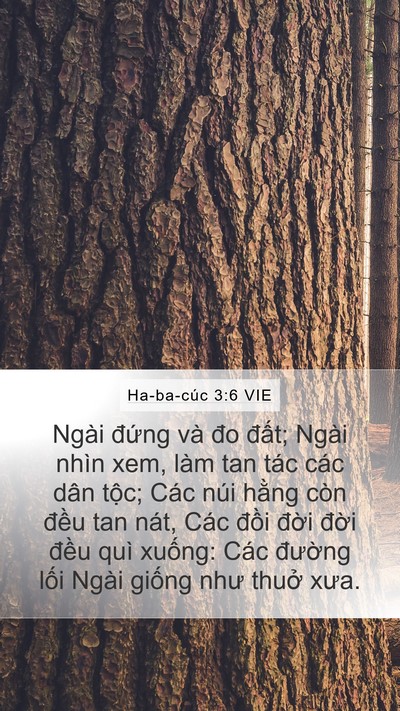 Ha-ba-cúc 3:6 VIE Bible Verse Image