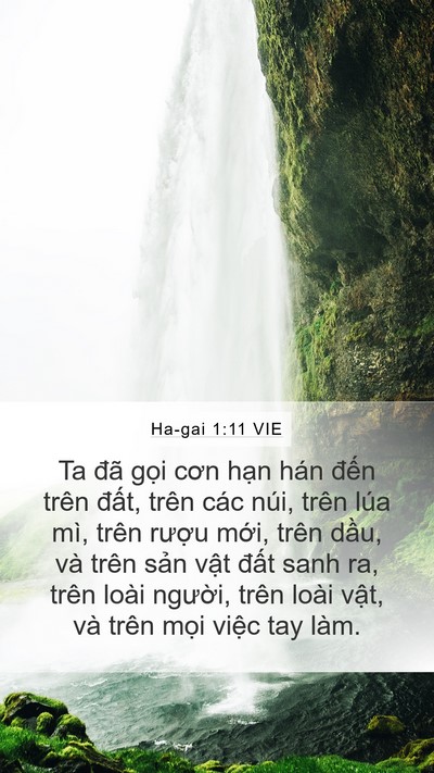 Ha-gai 1:11 VIE Bible Verse Image