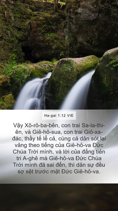 Ha-gai 1:12 VIE Bible Verse Image