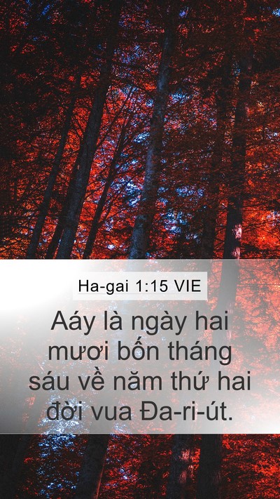 Ha-gai 1:15 VIE Bible Verse Image