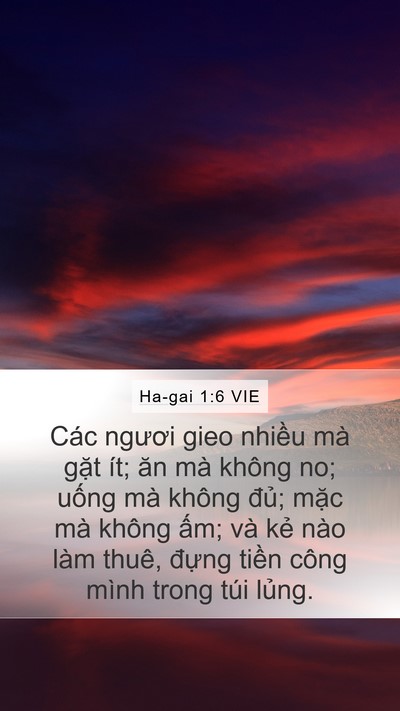 Ha-gai 1:6 VIE Bible Verse Image