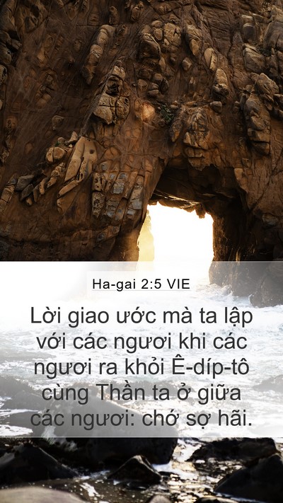 Ha-gai 2:5 VIE Bible Verse Image
