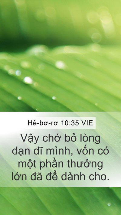 Hê-bơ-rơ 10:35 VIE Bible Verse Image