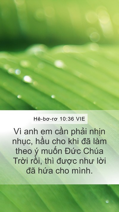 Hê-bơ-rơ 10:36 VIE Bible Verse Image