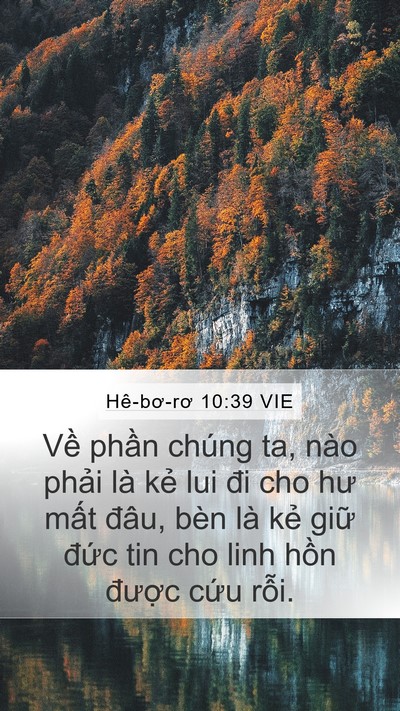 Hê-bơ-rơ 10:39 VIE Bible Verse Image