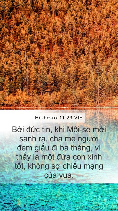 Hê-bơ-rơ 11:23 VIE Bible Verse Image