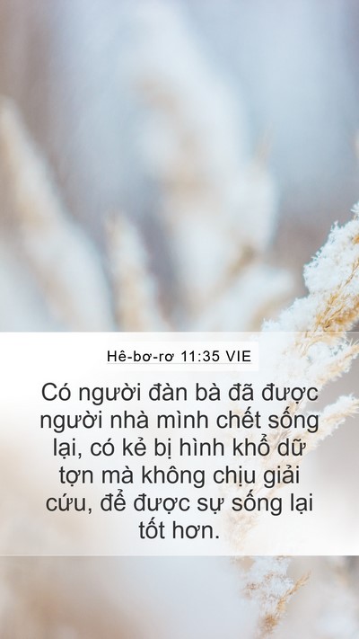 Hê-bơ-rơ 11:35 VIE Bible Verse Image