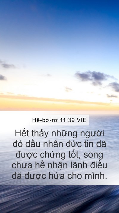 Hê-bơ-rơ 11:39 VIE Bible Verse Image