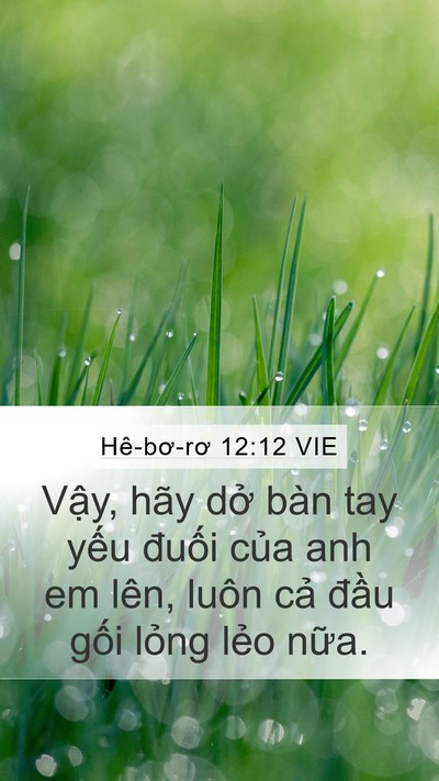 Hê-bơ-rơ 12:12 VIE Bible Verse Image