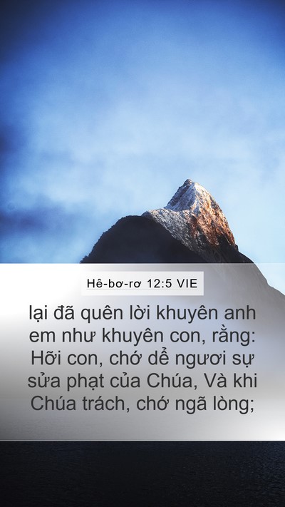 Hê-bơ-rơ 12:5 VIE Bible Verse Image