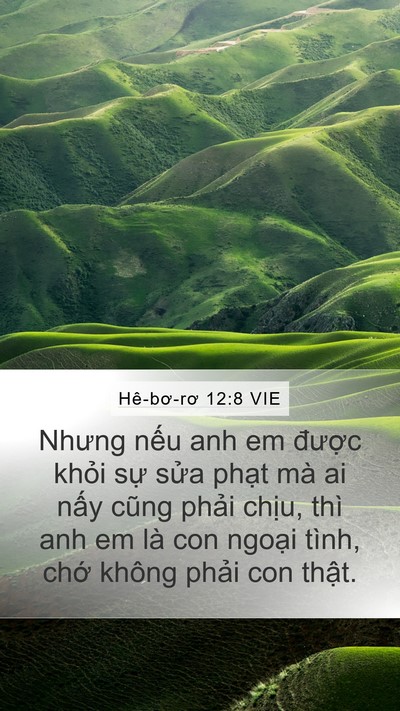 Hê-bơ-rơ 12:8 VIE Bible Verse Image