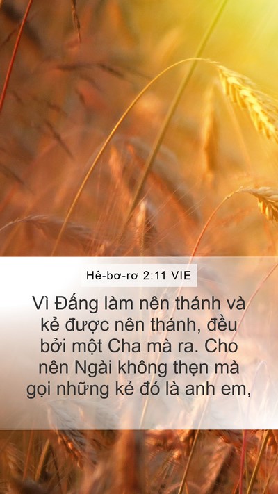Hê-bơ-rơ 2:11 VIE Bible Verse Image