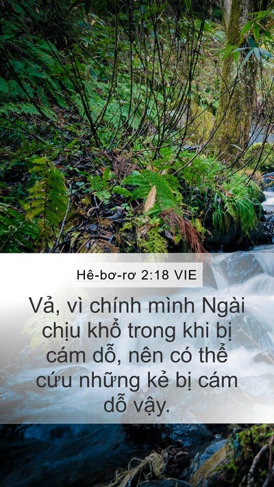 Hê-bơ-rơ 2:18 VIE Bible Verse Image