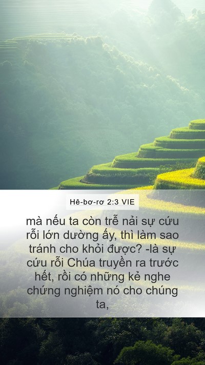Hê-bơ-rơ 2:3 VIE Bible Verse Image