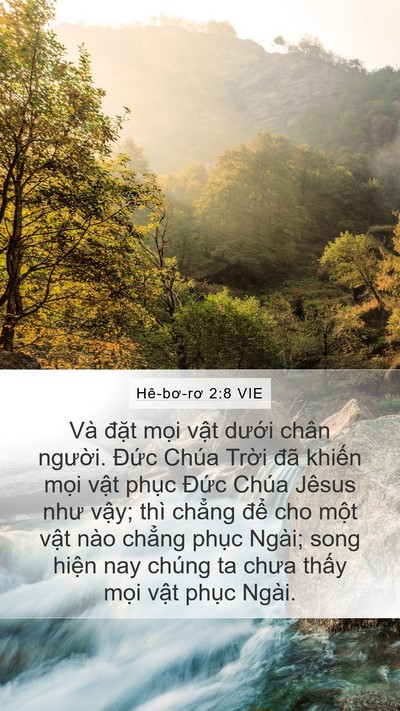 Hê-bơ-rơ 2:8 VIE Bible Verse Image