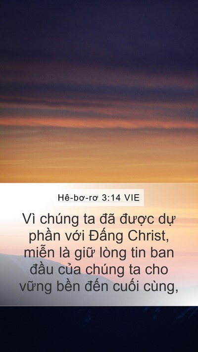 Hê-bơ-rơ 3:14 VIE Bible Verse Image