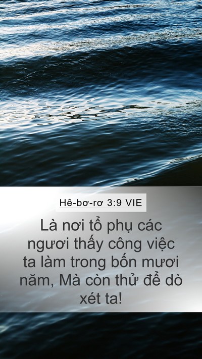 Hê-bơ-rơ 3:9 VIE Bible Verse Image