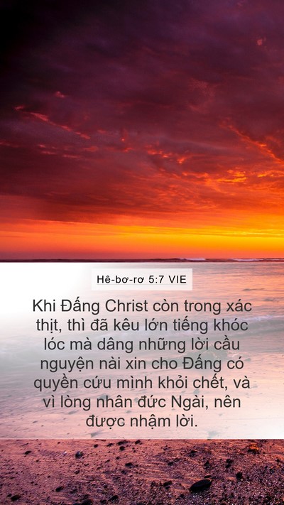 Hê-bơ-rơ 5:7 VIE Bible Verse Image