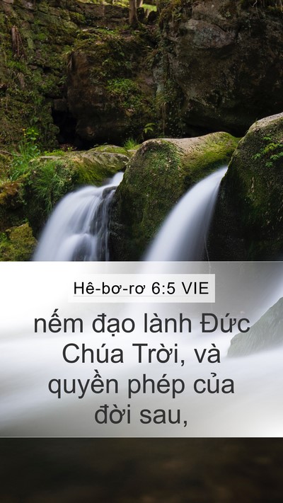 Hê-bơ-rơ 6:5 VIE Bible Verse Image