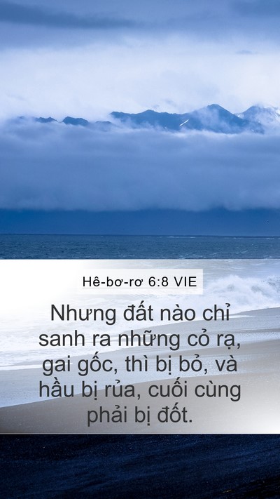 Hê-bơ-rơ 6:8 VIE Bible Verse Image