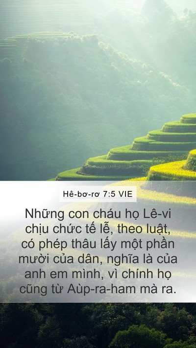 Hê-bơ-rơ 7:5 VIE Bible Verse Image