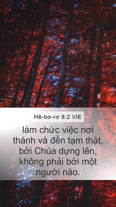 Hê-bơ-rơ 8:2 VIE Bible Verse Image